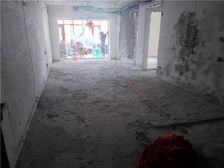 中德英倫聯(lián)邦A(yù)區(qū)家裝拆舊房室內(nèi)裝修拆除清運(yùn)案例